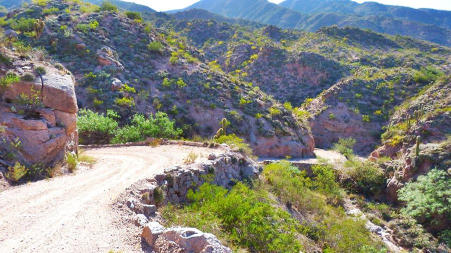 zona fácil de la cuesta de Zapata tramo sinuoso entre cerros con arbustos verdes