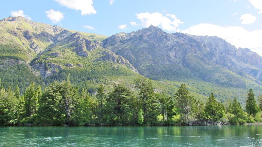 Lago Cholila lago cholila el bosque y las montañas
