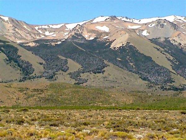 forests and snow on the Leleque Range, Esquel