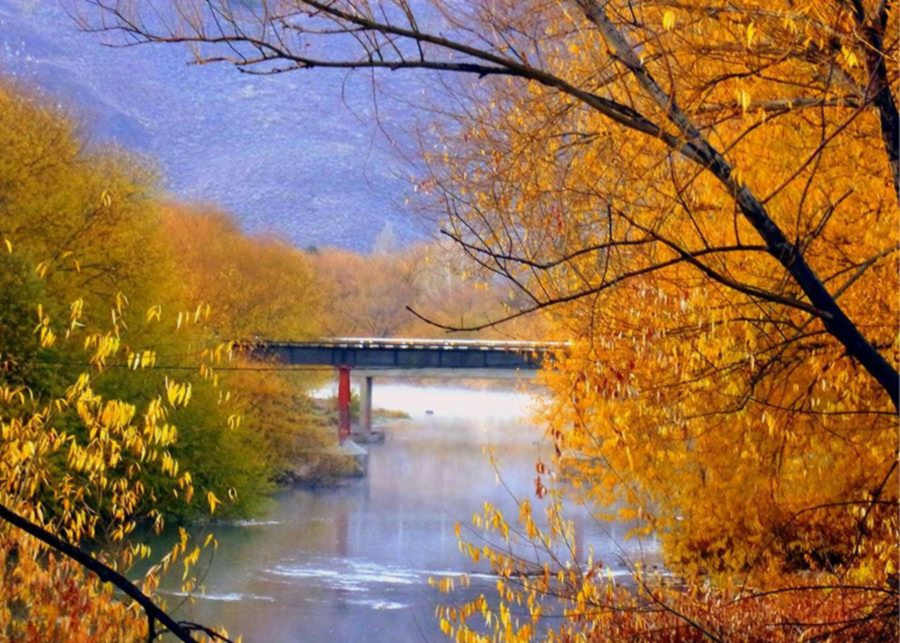 hojas naranjas y ocres en el otoño y el río Chubut en El Maitén