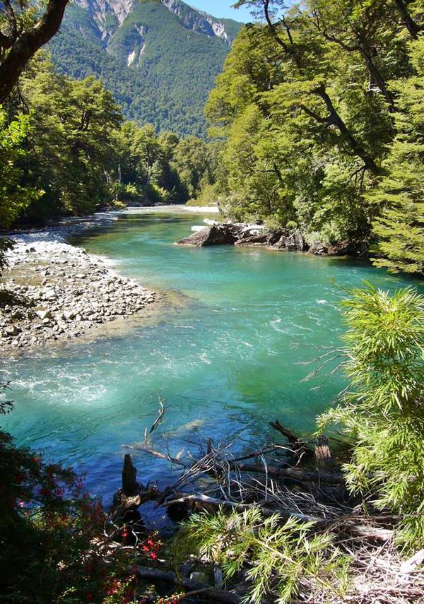 Cisne river, crystal clear waters in the Parque Nacional Los Alerces, Chubut