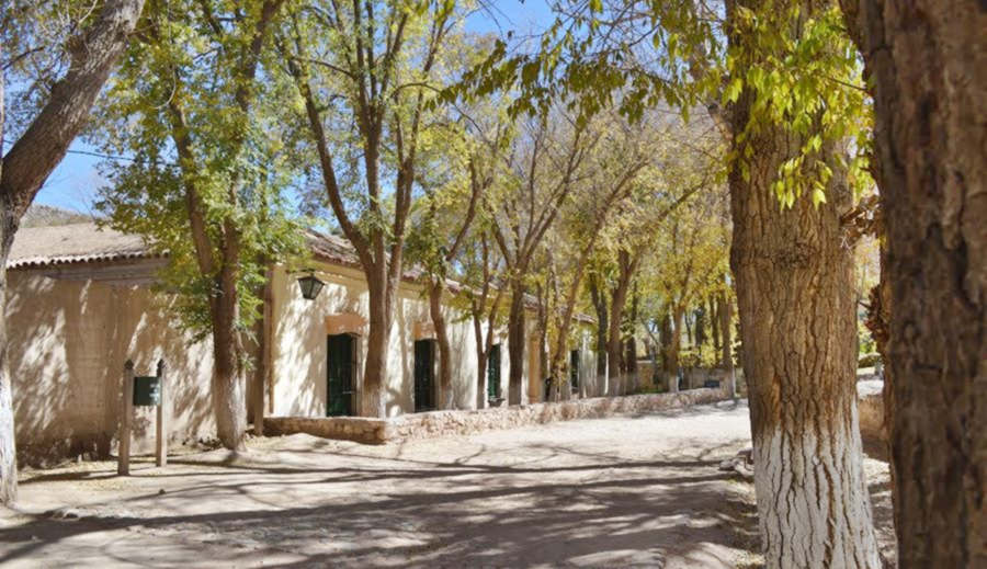 fachada de la antigua casa del marqués y la calle arbolada
