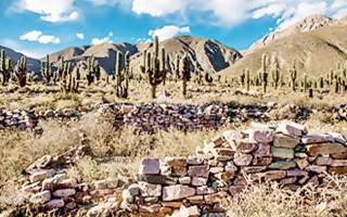 ruinas de La Huerta cactus y paredes de pirca en el sitio precolombino La Huerta
