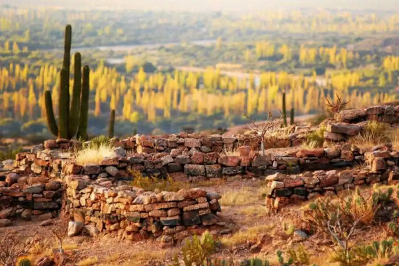 Ruinas de Hualco, Inca Fort cacti, stone walls in ruins guard yellow poplars in fall