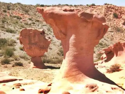 rocks like mushrooms