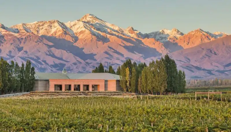 La bodega, viñedos y al fondo la cordillera de los Andes