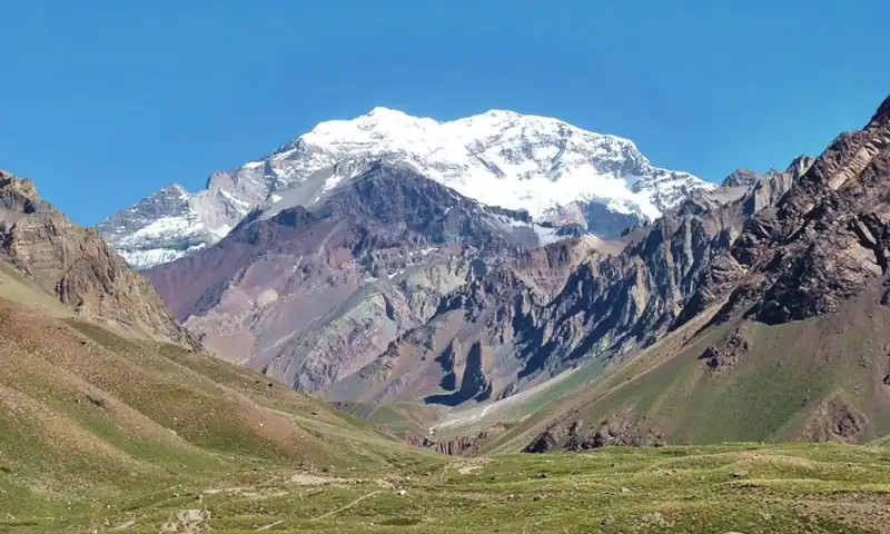 Cerro Aconcagua y pastizal