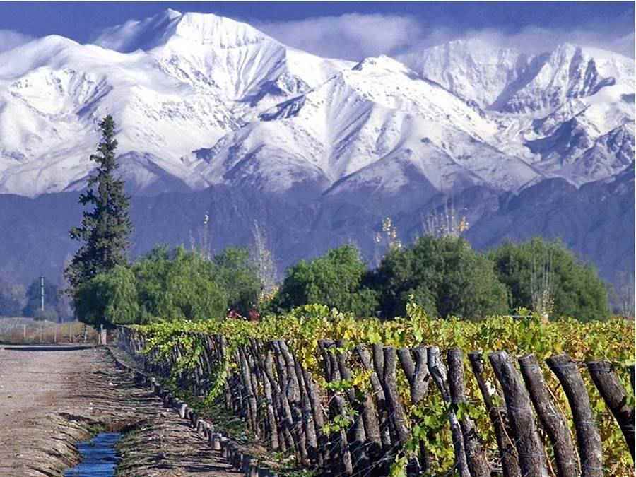 Snow capped Andes mountains and vineyards in Mendoza Argentina