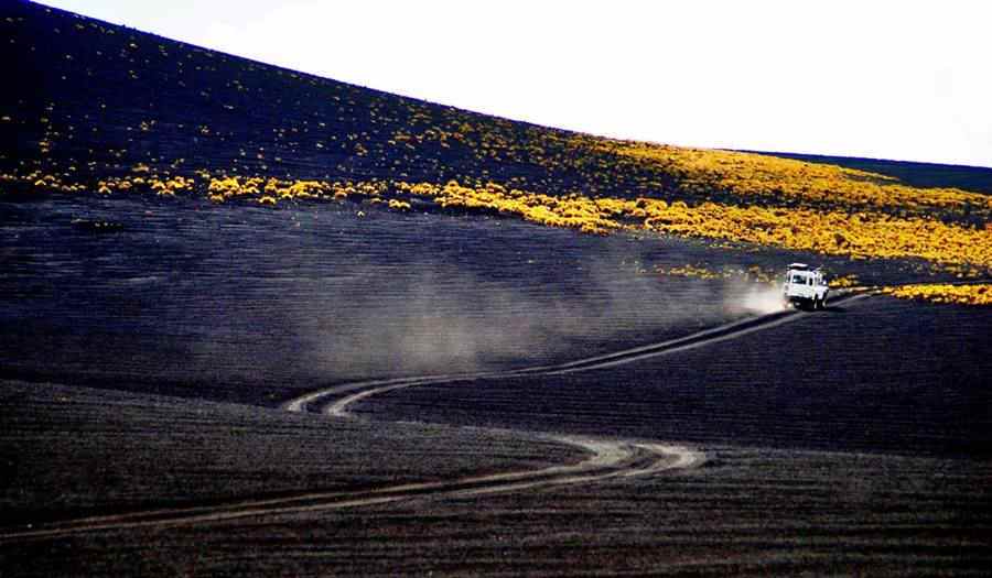 cinder field in La Payunia, Ruta 40, Mendoza