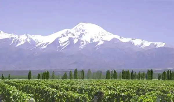 Tupungato, volcan y viñas, Ruta 40, Mendoza