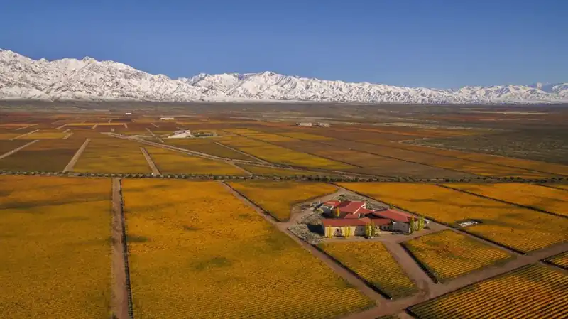 vista desde el aire de viñedos y los Andes y la bodega Clos de los siete en Tunuyán