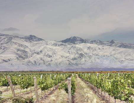 Mendoza: Andes and wine