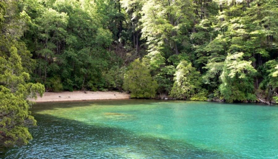 playa de arena rodeado de bosque y el agua cristalina del lago Lacar
