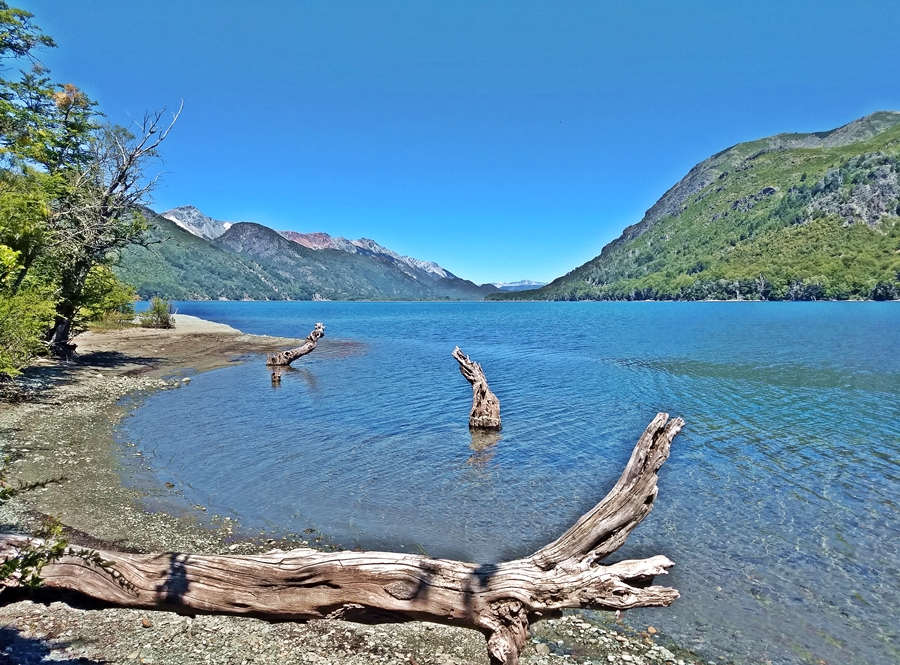 Lake guillelmo’s blue waters surrounded by the forested Andean mountains