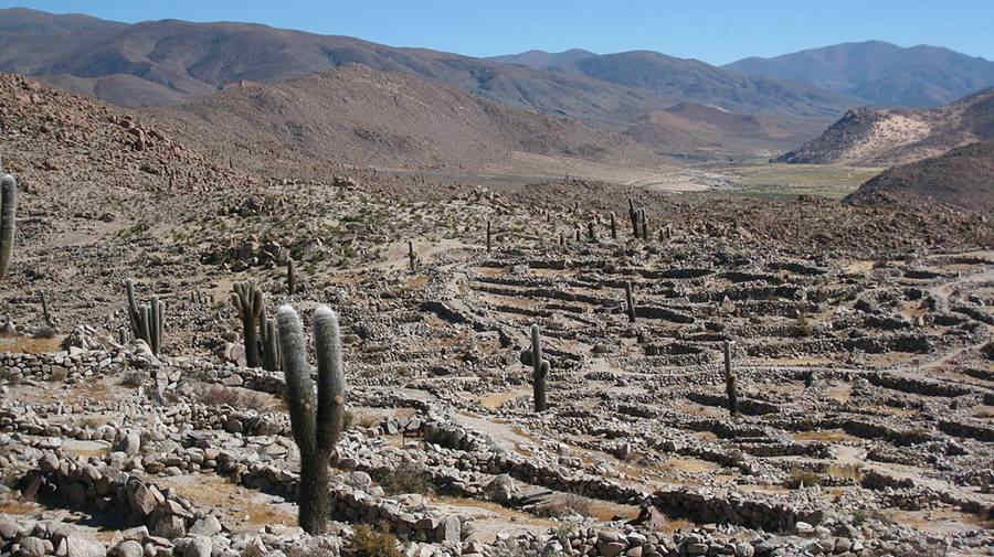 Tastil site in Salta