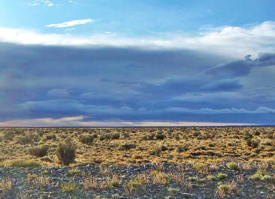 Dawn on the Patagonian steppe near Perito Moreno, Santa Cruz