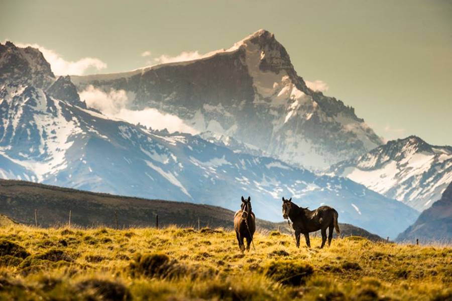 Two horses and behind them, the snowcapped - cloud shrouded peak of Mount San Lorenzo as 
 seen from the Estancia Menelik ranch,  Perito Moreno National Park, Patagonia, Argentina