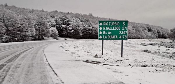 Forest under snow and ice on Ruta 40 in Rio Turbio