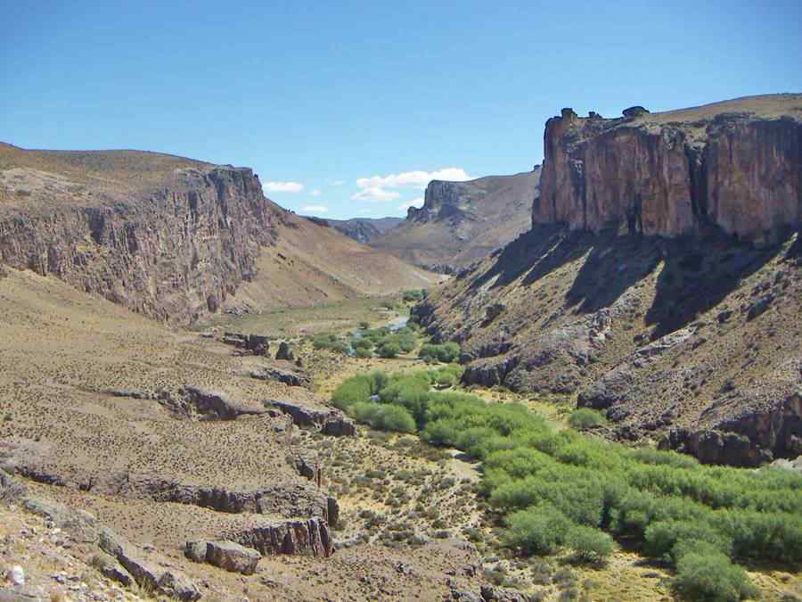 steep canyon of the Pinturas river: volcanic rocks and willows near the river